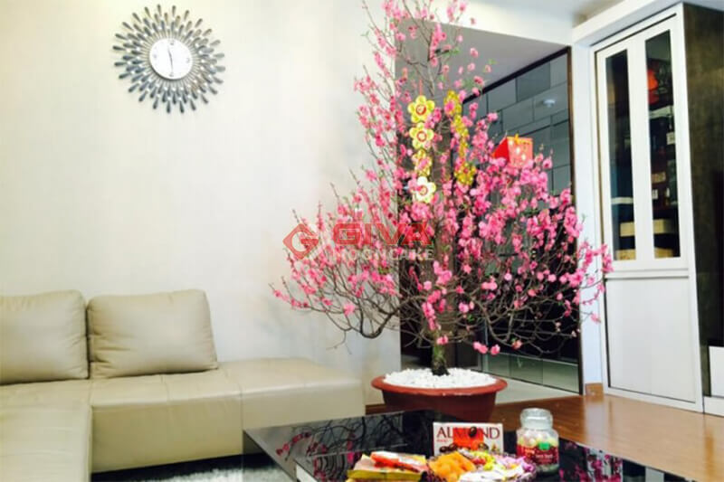 trang trí cây ngày tết