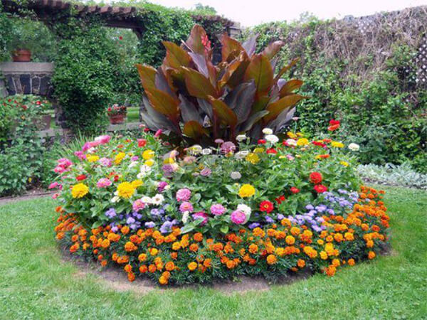 cách trang trí tết với hoa trong vườn