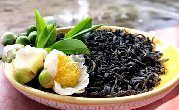 Chè tân cương thái nguyên