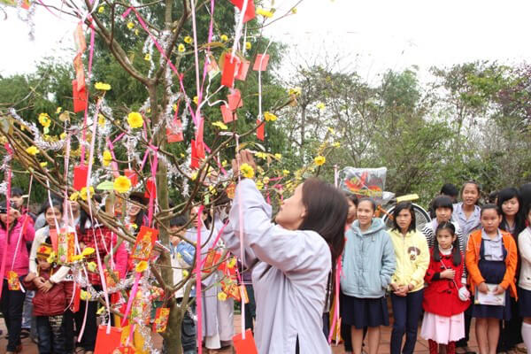 hái lộc ở các vùng miền có khác nhau