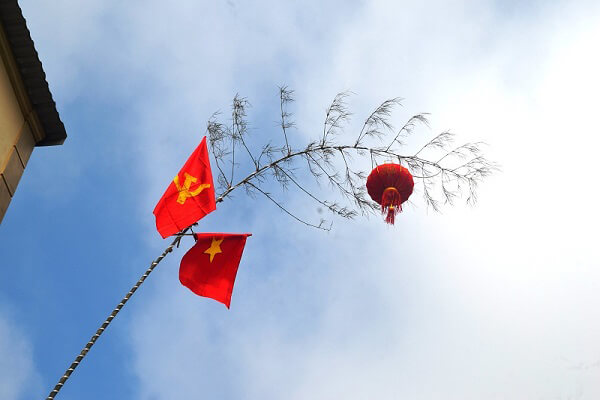 ý nghia của cây nên ngày tết